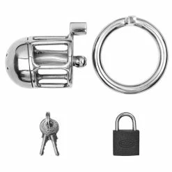 Buy ❤️ Torment Little Lad Micropenis Cock Cage With Padlock 🤩 -Male sex toys Sale unnamed file 925